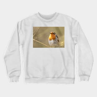 Robin looking up Crewneck Sweatshirt